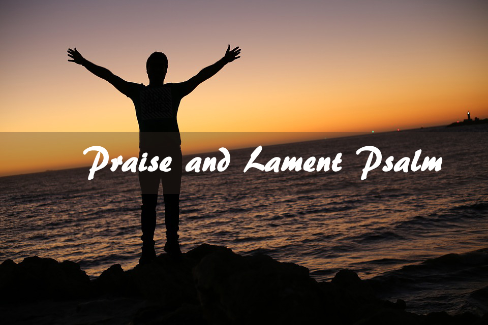 Praise and Lament Psalm <br/> Wilsy-Shanthi-Vinod