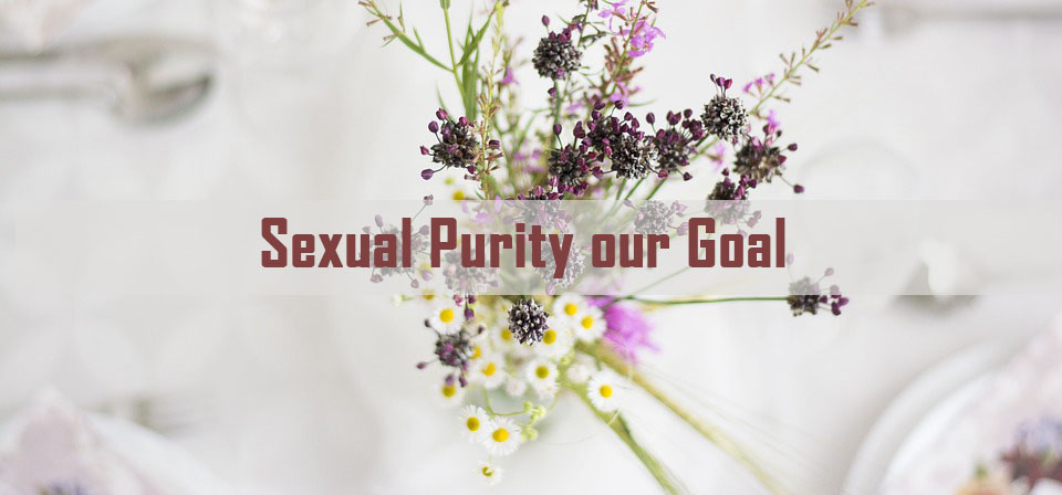 sexual purity our goal<br/> Vinod Samuel