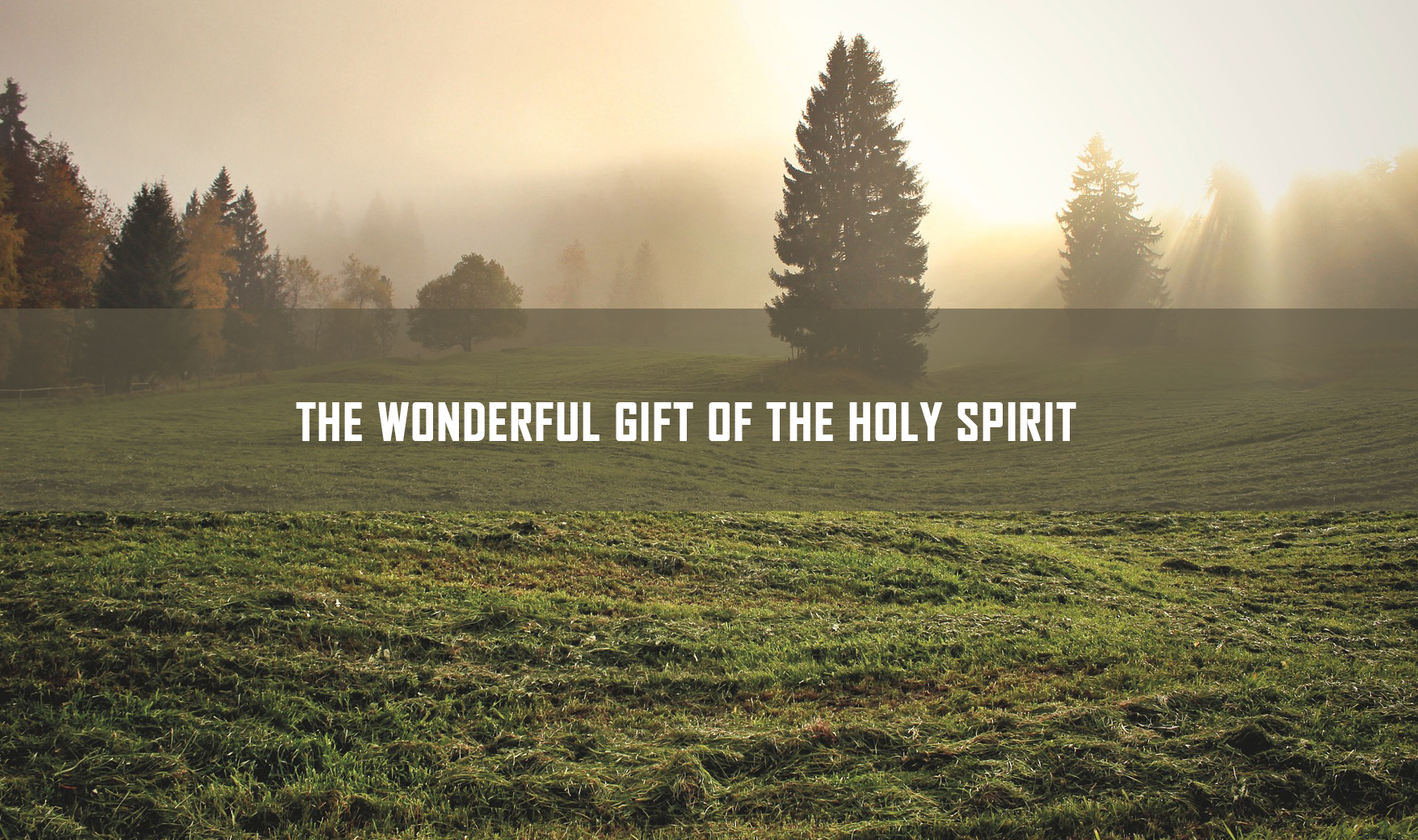 THE WONDERFUL GIFT OF THE HOLY SPIRIT <br/> SUNIL ABRAHAM